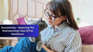 Sourpatchky – Exploring The Heartwarming Tales Of Pet Resilience!