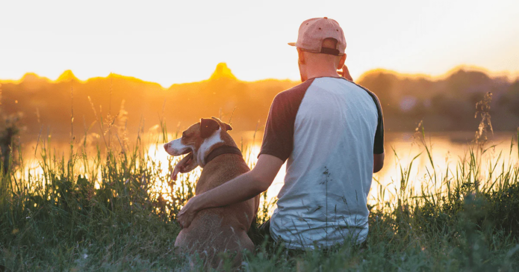 The Bond Between Humans And Pets – Discover Ways To Strengthen Your Bond With Your Furry Companion!
