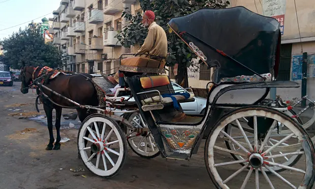 The Mystery Behind "Horse Drawn Carriage In Angola's Capital: