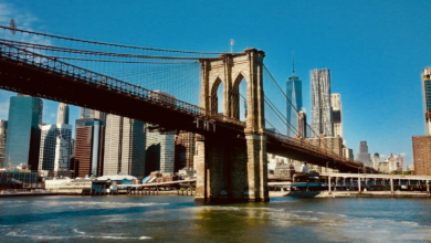 Beyond the boundaries: iconic bridges and the connections that transformed the world